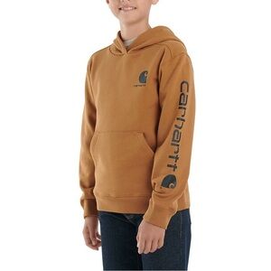 Carhartt Boys Long Sleeve Graphic Hoodie Boy 8-10 Brown Gorpcore Outdoor Jacket